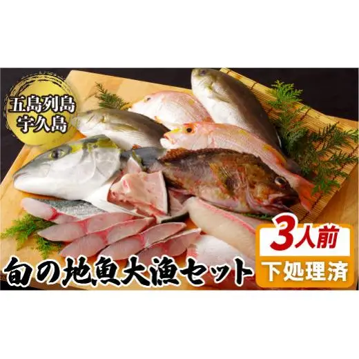 【地魚】 五島列島 旬の地魚 セット 新鮮 産地直送 A198