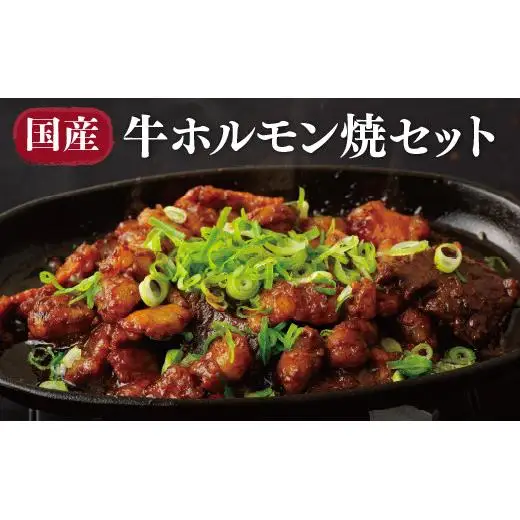 【毎月30セット限定】 国産 牛ホルモン 焼セット 計200g B298