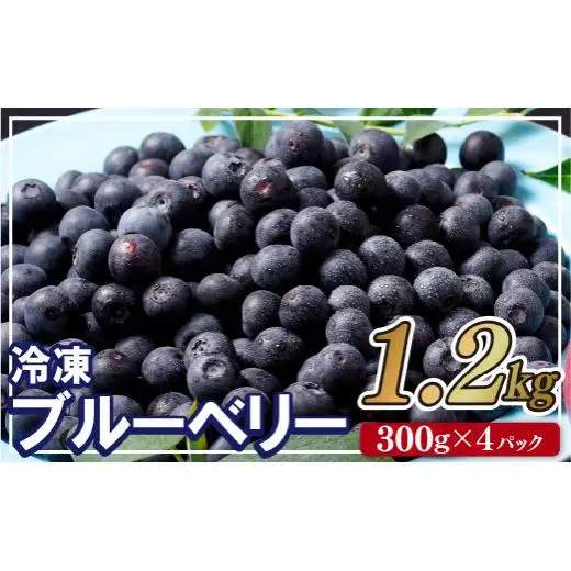 【先行予約】冷凍 ブルーベリー 1.2kg (2026年9月～発送) | フルーツ ベリー C152