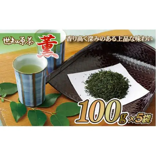 世知原茶｢薫｣5本セット