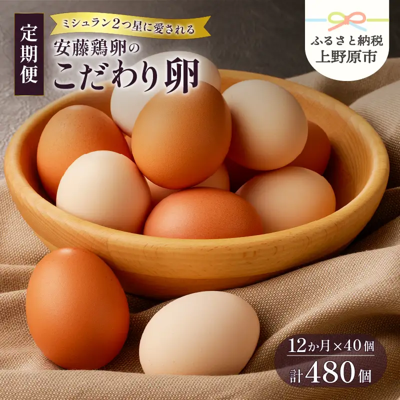 【12ヶ月定期便】 ミシュラン たまご 40個×12ヶ月 計480個 卵 2種類 詰め合わせ 高級卵 濃厚鶏卵 新鮮 卵かけご飯 人気 美味しい