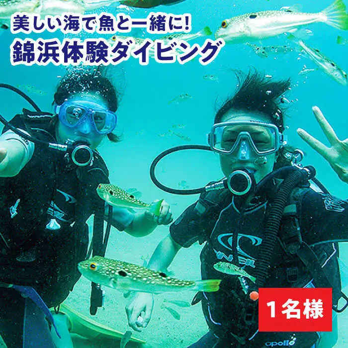 ダイビング  体験  錦浜 《壱岐市》【シーガルイン】[JAB002] 旅行 海 アウトドア ダイビング 33000 33000円