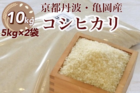 令和5年産 米 10kg 京都丹波産 コシヒカリ 白米＜JA京都 たわわ朝霧＞ 発送に合わせて精米