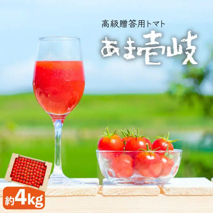 【先行予約】ミディトマト  約4kg 高級贈答用「あま壱岐」  [JAE005] 野菜