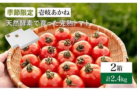 トマト 壱岐あかね 2箱(5個-10個×6パック)《壱岐市》【フレッシュメイト壱岐】[JAZ002] トマト 野菜 農産物 天然酵母 完熟 16000 16000円 九州