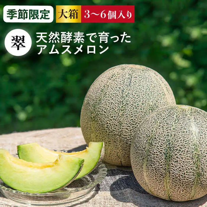 先行予約 メロン 大箱 3?6個 [JAZ005] アムスメロン