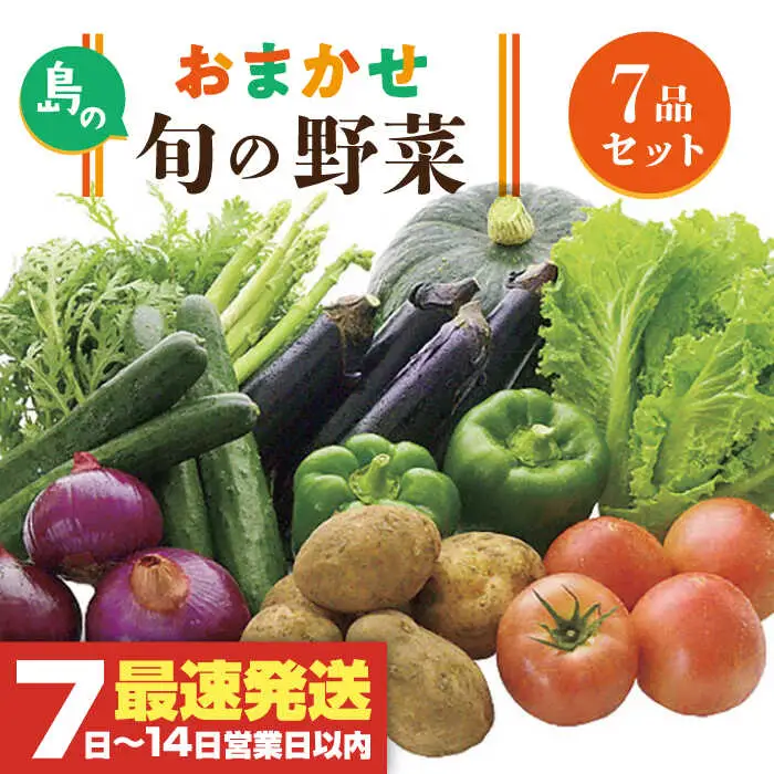 旬のお野菜7品セット《壱岐市》【壱岐市農業協同組合】[JBO001] 野菜 10000円