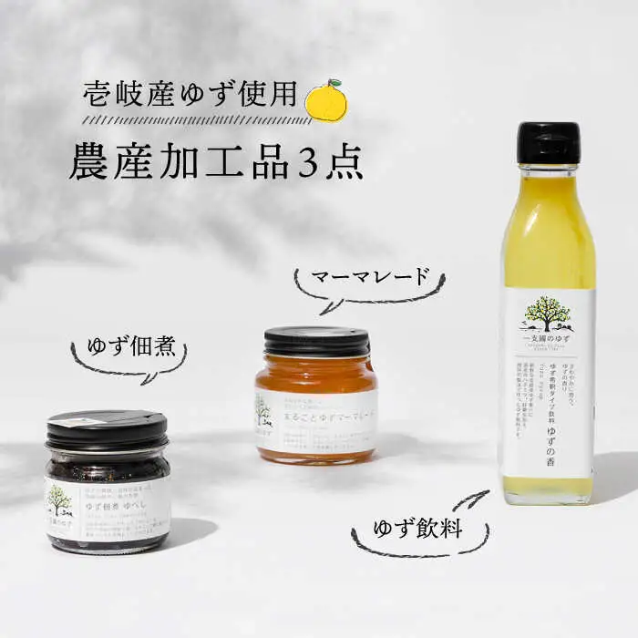 壱岐のゆずを使用した農産加工品セット(ゆず濃縮果汁・ゆず佃煮・マーマレード) [JBO021] ジャム