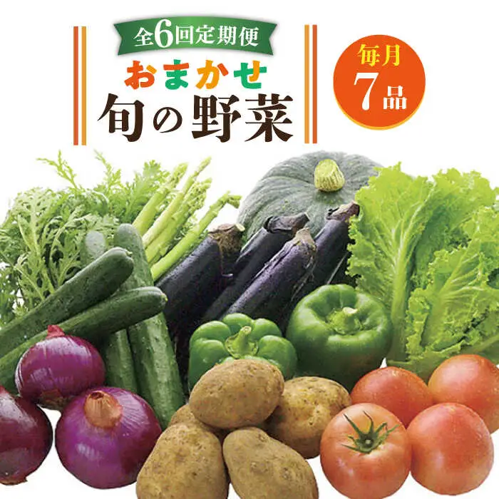 【全6回定期便】旬の野菜セット 7品 [JBO045] 野菜 やさい 旬 セット 詰め合わせ 60000 60000円