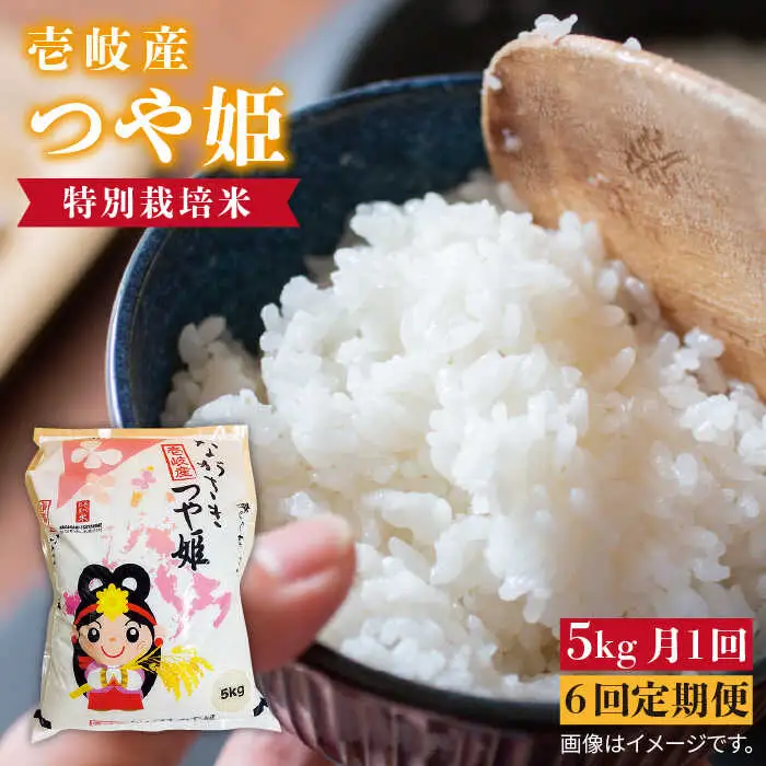 【全6回定期便】壱岐産米 つや姫 5kg 《壱岐市》 [JBO057] 米 米 米 米 米