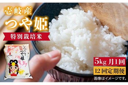 【全12回定期便】壱岐産 つや姫 5kg [JBO058] 米 お米