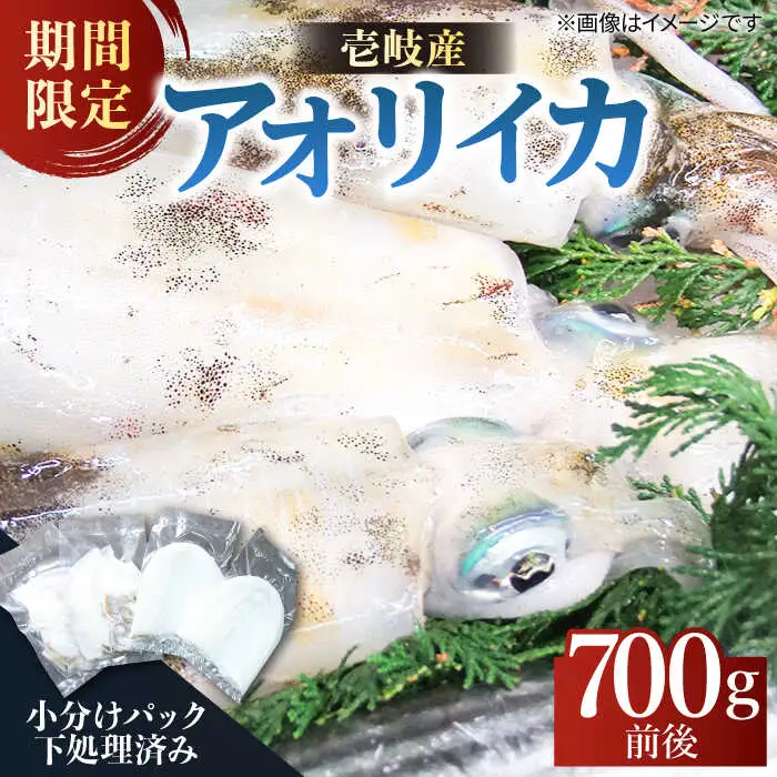 アオリイカ（処理済み） 700g前後 《壱岐市》[JCG018]