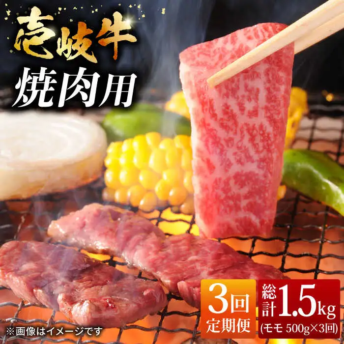 【全3回 定期便 】お肉 壱岐牛 焼き肉セット 500g 《 壱岐市 》 【ヤマグチ】[JCG054] 60000 60000円