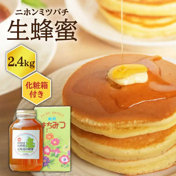 ニホンミツバチ 生蜂蜜 2,400g（化粧箱付き） [JCL005]  ハチミツ はちみつ