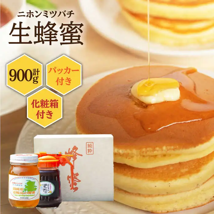 ニホンミツバチ 生蜂蜜 600g×1（パッカー300g・化粧箱付き） [JCL010] ハチミツ 蜂蜜