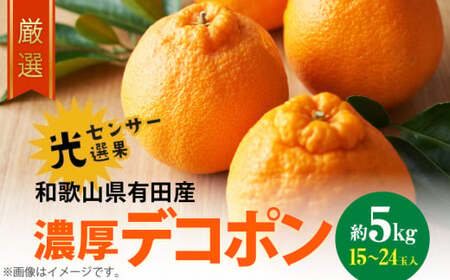 【2027年先行予約】和歌山有田の 濃厚 デコポン  約5kg 15～24玉 サイズ おまかせ 糖度 13度以上 光センサー 選果 こだわり 厳選 濃厚 甘さ 適度 酸味 不知火 フルーツ 果物 デザート 柑橘 果実 濃厚 甘味 国産 食品 食べ物 お取り寄せ お取り寄せフルーツ 和歌山県 湯浅町 送料無料_AB6175n