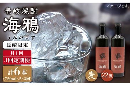 【全3回 定期便 】麦焼酎 海鴉 25度 720ml 2本入りセット 《 壱岐市 》【天下御免】[JDB110]