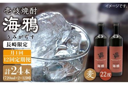 【全12回 定期便 】麦焼酎 海鴉 25度 720ml 2本入りセット 《 壱岐市 》【天下御免】[JDB112]