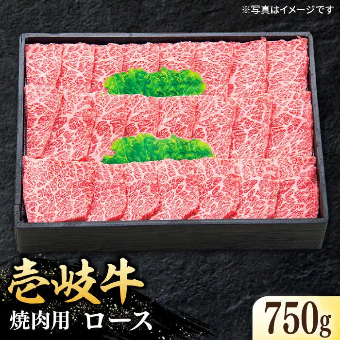 特選 壱岐牛 ロース 750g（焼肉）《壱岐市》【太陽商事】[JDL018] 肉 和牛 牛肉 黒毛和牛 BBQ 焼肉 赤身 50000 50000円 5万円