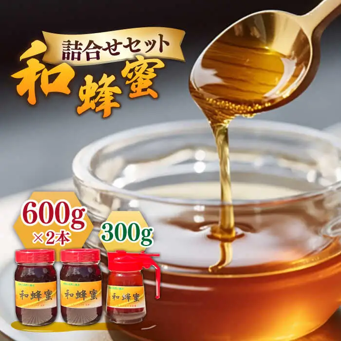和蜂蜜（ニホンミツバチ）600g×2本＋300gパッカー[JDP001]  ハチミツ