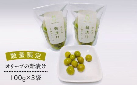 【数量限定】オリーブの新漬け（100g × 3袋） [JDU008] オリーブ