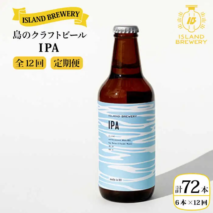 【全12回 定期便 】クラフトビール 地ビール  IPA 6本 【ISLAND BREWERY】 《 壱岐市 》[JED014] 204000 204000円