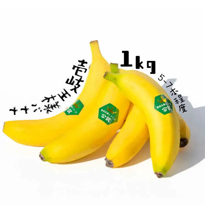 壱岐王様バナナ 1kg（5-7本程度） [JEL001] ばなな