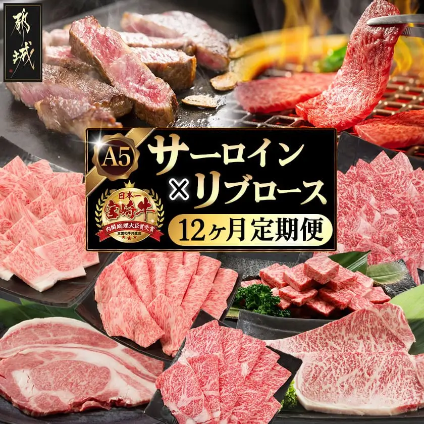 【A5】宮崎牛サーロイン×宮崎牛リブロース三昧定期便(12ヶ月)〔TAE12-0101〕_(都城市) 都城産宮崎牛 牛肉 スライス / サイコロ / 焼肉 / ステーキ サーロイン リブロース
