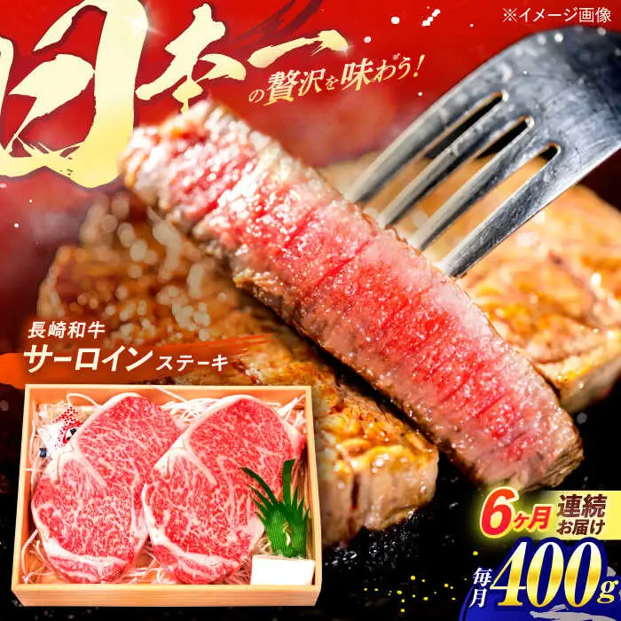 【全6回定期便】 長崎和牛 A5ランク サーロインステーキ 2枚 計400g / ステーキ すてーき 和牛 牛肉 ぎゅうにく 国産牛 牛 肉 サーロイン A5 焼肉 / 諫早市 / 焼肉おがわ [AHCD010]