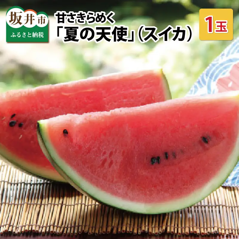 【先行予約】甘さきらめく「夏の天使」スイカ1玉 【2027年7月中旬以降順次発送予定】スイカ 西瓜 すいか 大玉 デザート 果物 お取り寄せ 産地直送 [A-1005]