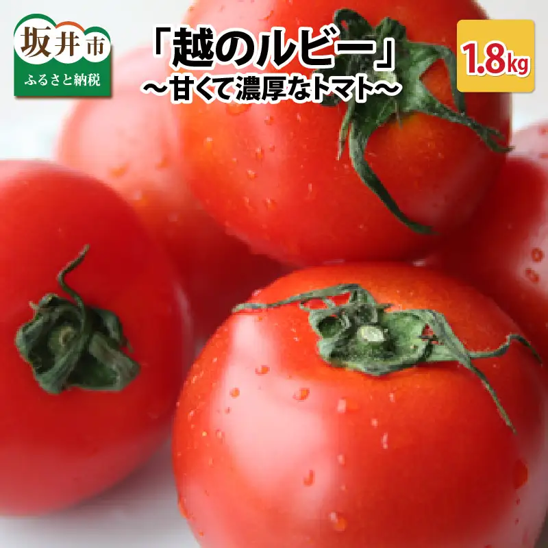 越のルビー 1.8kg とまと ミディトマト [A-1182]