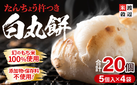 白丸餅 5個 × 4パック 20個入り 2026年11月下旬以降順次発送 餅 おもち たんちょうもち米 [A-2994]