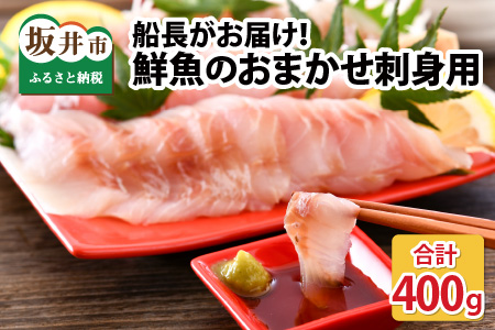 とれピチ鮮魚のおまかせ刺身用 200g×2種 ～越前三国港 漁船「神力丸」 船長がお届け！～ [A-5824]