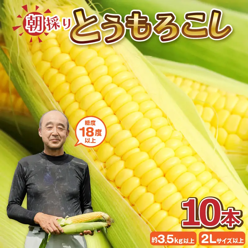 とうもろこし 10本 2Lサイズ以上 2027年6月上旬発送 朝取れ とうもろこし [A-7102] 