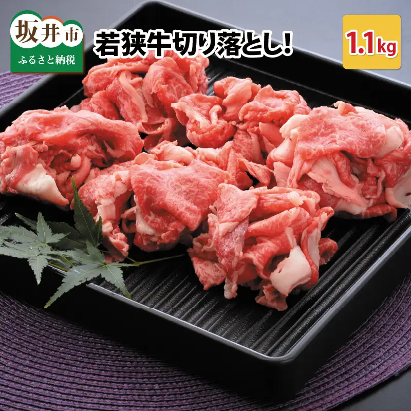 若狭牛切り落とし 1.1kg 用途色々！スタミナUP！健康長寿！【B-2208】