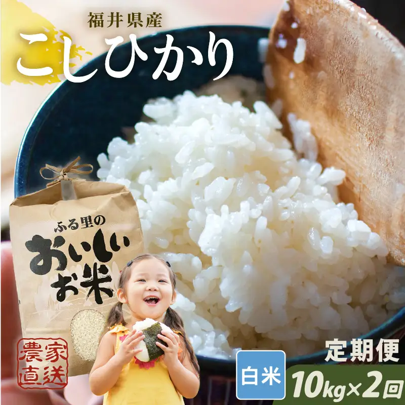 【先行予約】【令和8年産・新米】【農家直送定期便 2ヶ月コース】本原農園のまごころコメたコシヒカリ 10kg × 2回 計20kg（白米）【2026年10月上旬以降順次発送】 [D-8916_01] 