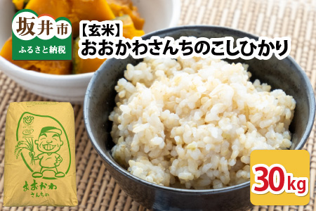 【令和7年産】 おおかわさんちのコシヒカリ玄米 30kg [D-10804]