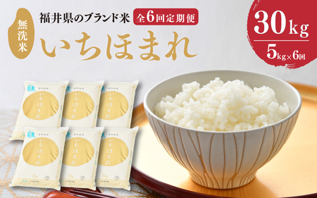 【令和8年産】定期便 ≪6ヶ月連続お届け≫ 福井県のブランド米 いちほまれ 無洗米 5kg × 6回 計30kg 【 無洗米 人気 品種 ブランド米 特A 】 [I-6107]