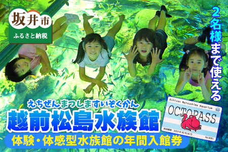 【越前松島水族館】 特別年間パスポート「オクトパス」【水族館 入場券 チケット 券 観光 旅行 年間パスポート 年パス 利用券 入館券 体験 夏休み アウトドア】 [J-11101]