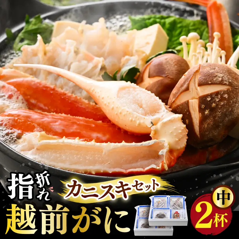 【先行予約】【訳あり】越前がに（中）2杯 かにすきセット やまに仕込み [J-4305]
