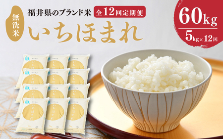 【令和8年産】定期便 ≪12ヶ月連続お届け≫ 福井県のブランド米 いちほまれ 無洗米 5kg × 12回 計60kg 【 無洗米 人気 品種 ブランド米 特A 】 [N-6105]