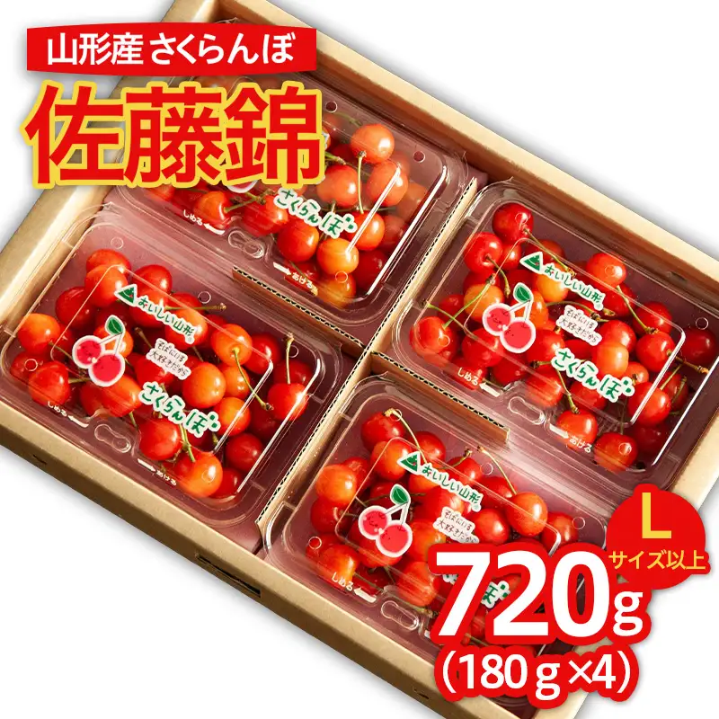 山形のさくらんぼ 佐藤錦 Lサイズ以上 720g (180g×4パック) 【令和9年産先行予約】FS25-516
