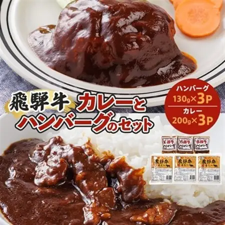 レビューキャンペーン中!飛騨牛入り製品詰め合わせ(カレーとハンバーグ)【2種6食セット】【配送不可地域：離島】【1213291】