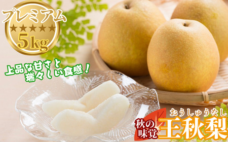 Y038 プレミアム王秋梨 5kg