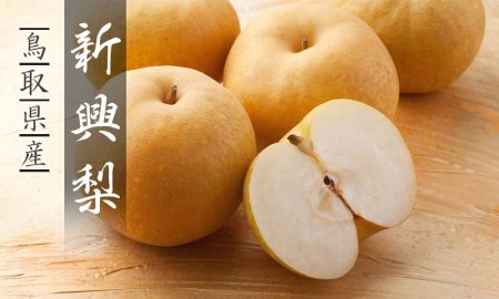 Y040 新興梨(秀) 4kg