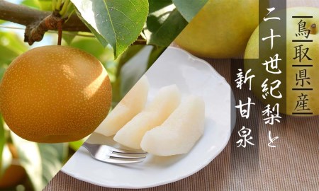 Y020 二十世紀梨と新甘泉のセット 3kg