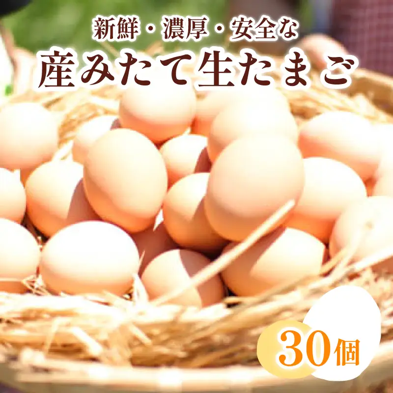 【新鮮たまご】 産みたて たまご 卵 30個