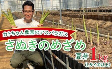 アスパラガス (さぬきのめざめ) 夏芽 1kg カトちゃん農園