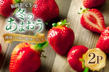 【期間限定発送】甘酸っぱい！酸味と甘味を楽しむ苺 福岡限定生産【冬】あまおう 2パック