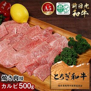 とちぎ和牛・前日光和牛（焼き肉用カルビ500g）｜肉 お肉 和牛 最高級 A5ランク A5等級 焼肉